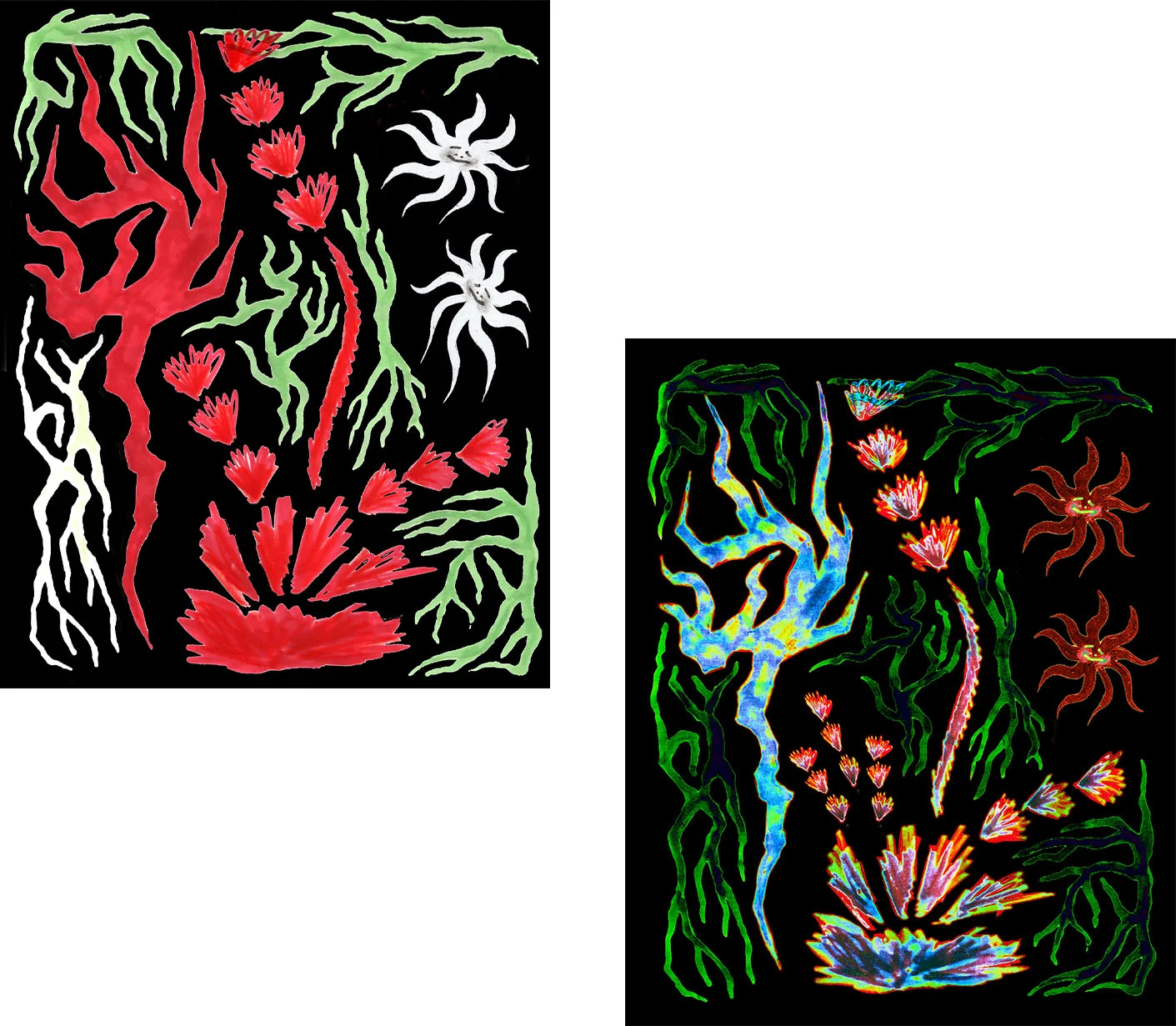 RAICES